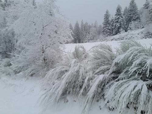 2024-01-10-La-loge01