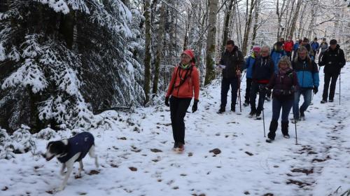 2024-01-11-Ferrieres04