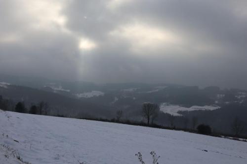 2024-01-11-Ferrieres08