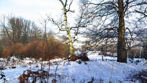 2024-01-11-Ferrieres09