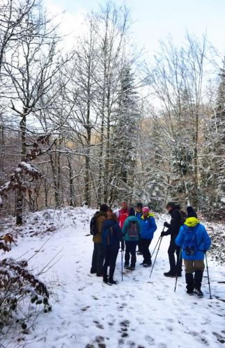 2024-01-11-Ferrieres11