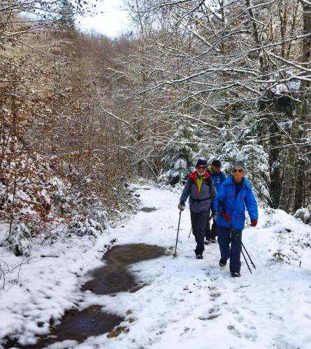 2024-01-11-Ferrieres12