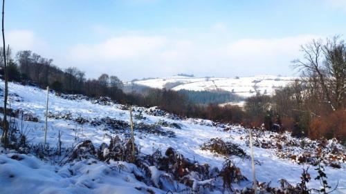 2024-01-11-Ferrieres13