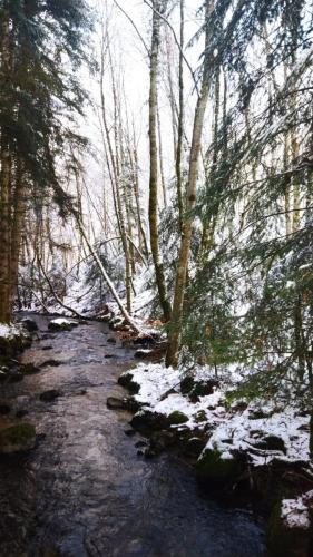 2024-01-11-Ferrieres14