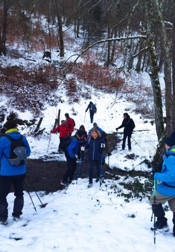 2024-01-11-Ferrieres15