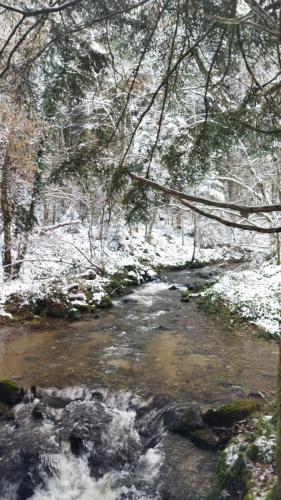 2024-01-11-Ferrieres16