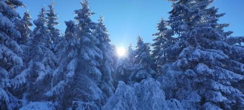 2024-01-12-GueChaux04