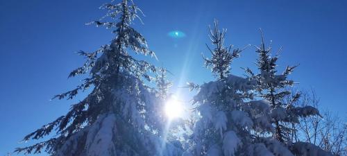 2024-01-12-GueChaux08