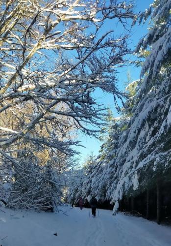 2024-01-12-GueChaux09