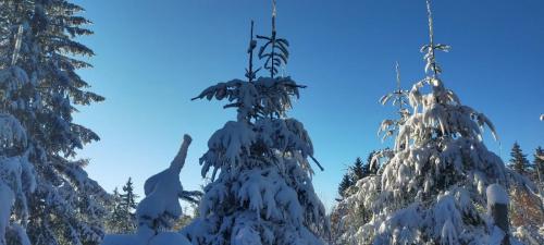 2024-01-12-GueChaux11