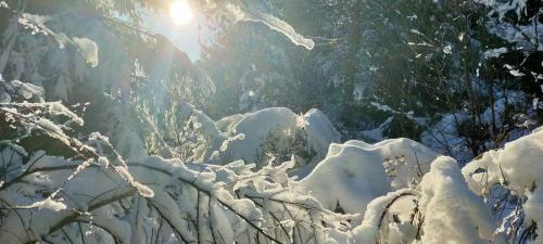 2024-01-12-GueChaux14