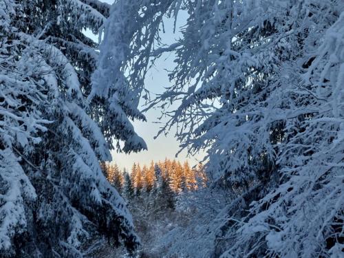 2024-01-12-GueChaux19