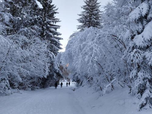 2024-01-12-GueChaux22