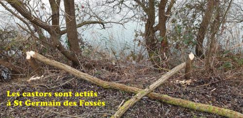 2024-01-22-StGermainRS02