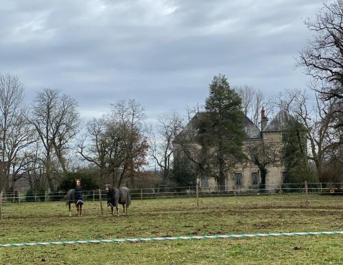 2024-01-23-StDidier11