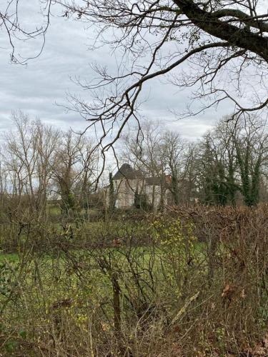 2024-01-23-StDidier17