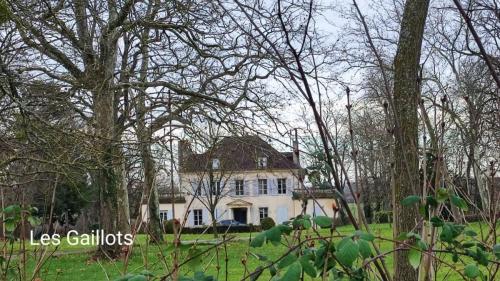 2024-01-23-StDidier24
