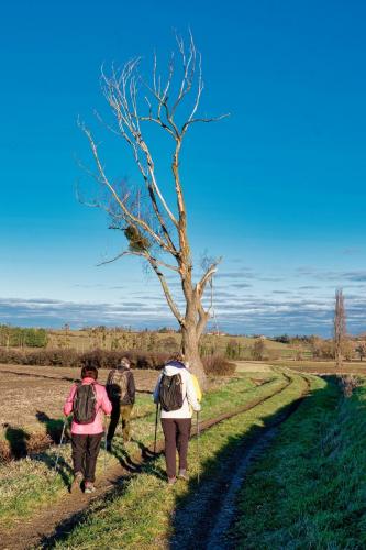 2024-01-25-Serbannes04