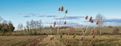 2024-01-25-Serbannes05