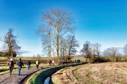 2024-01-25-Serbannes06 (1)