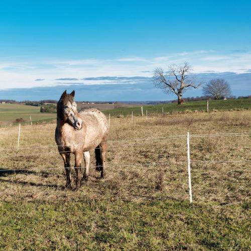 2024-01-25-Serbannes07