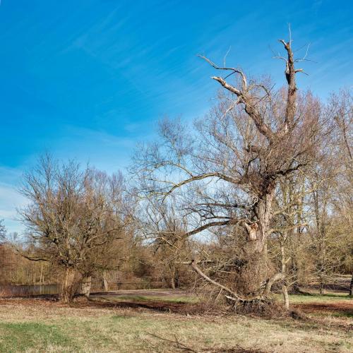 2024-01-29-Hauterive07