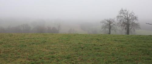 2024-02-01-LeBreuil02