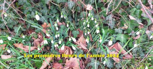 2024-02-01-LeBreuil08