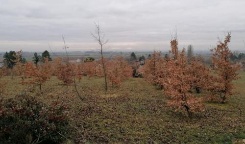 2024-02-06-Chareil09