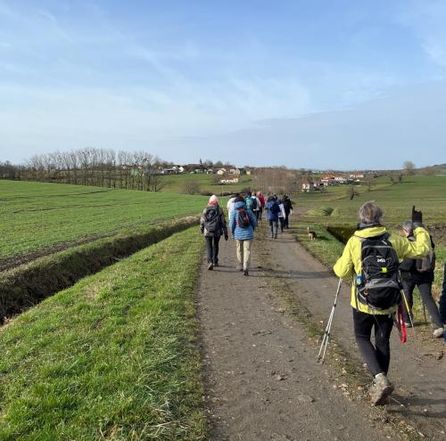 2024-02-08-Baumont01