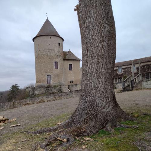 2024-02-08-StBonnet02