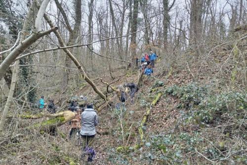 2024-02-08-StBonnet03