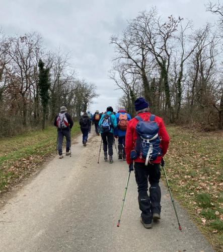 2024-02-08-StBonnet04