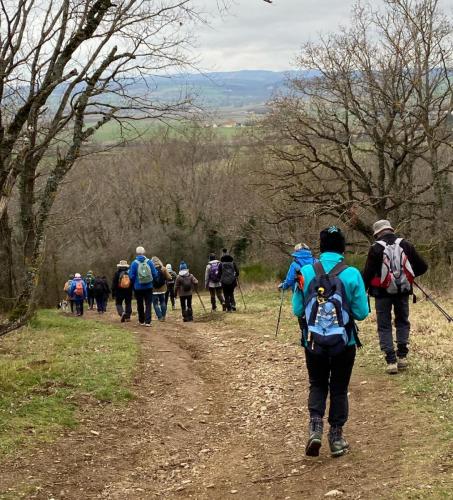 2024-02-08-StBonnet08