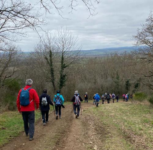 2024-02-08-StBonnet09