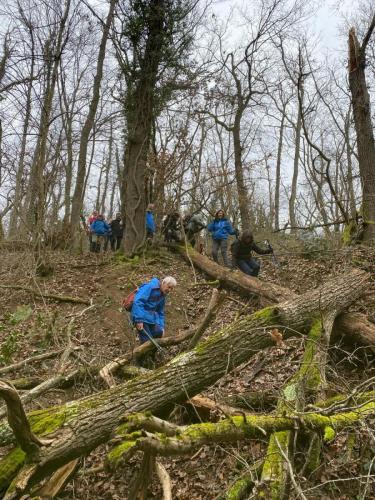 2024-02-08-StBonnet10