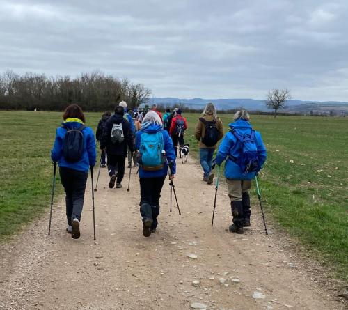 2024-02-08-StBonnet11