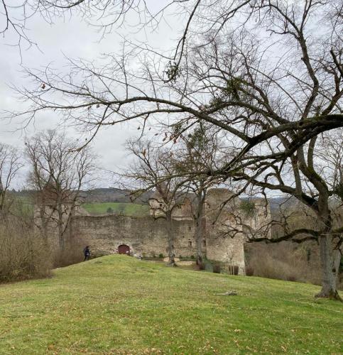 2024-02-08-StBonnet13