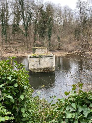 2024-02-08-StBonnet14