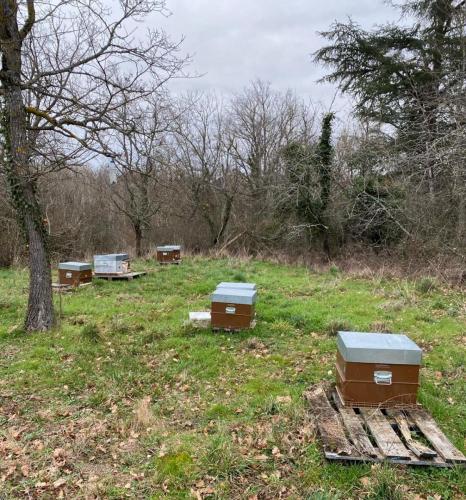 2024-02-08-StBonnet15