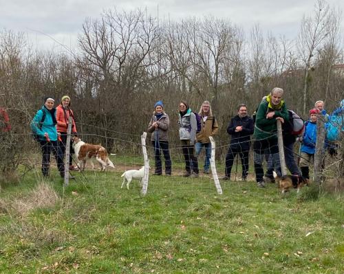 2024-02-08-StBonnet16