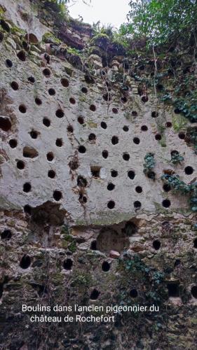 2024-02-08-StBonnet22