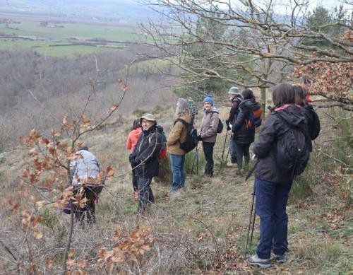 2024-02-08-StBonnet26