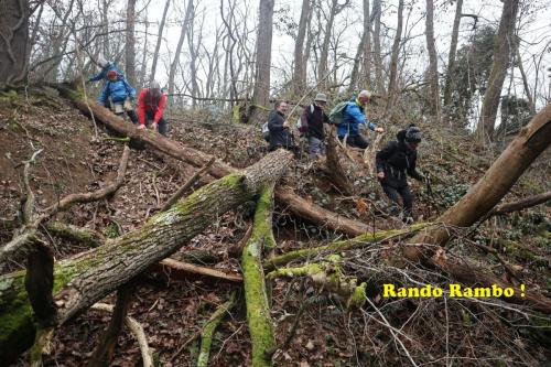 2024-02-08-StBonnet28