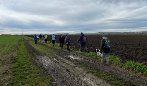 2024-02-15-Saulzet03