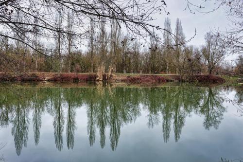 2024-02-19-St-Germain03