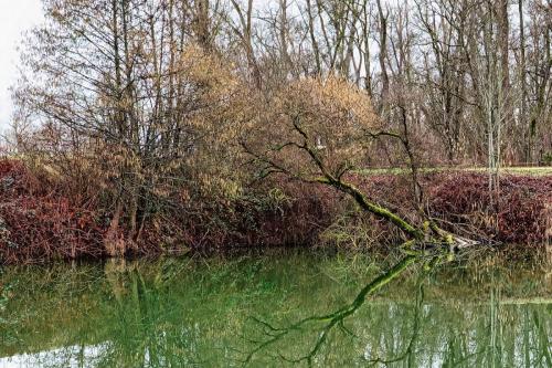 2024-02-19-St-Germain05