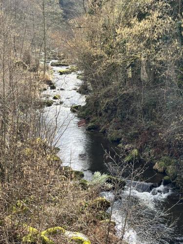 2024-02-20-Nizerolles03