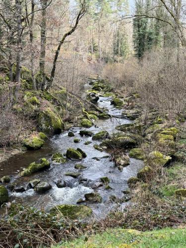 2024-02-20-Nizerolles04