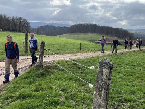 2024-02-20-Nizerolles05